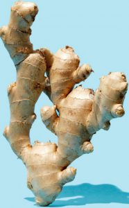 anti-inflammatory ginger root