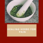 healing herbs for pain