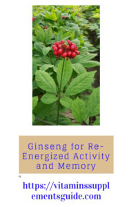 ginseng flower